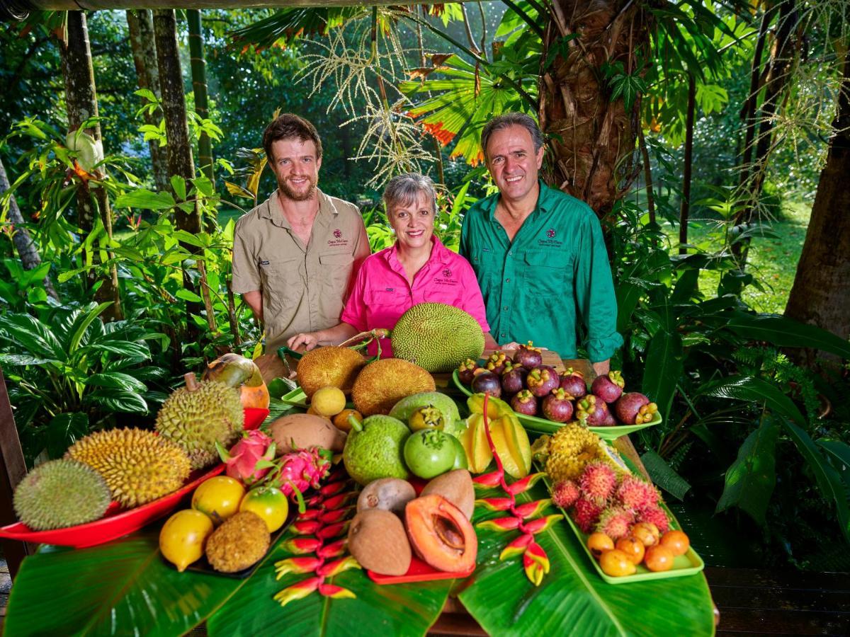 Cape Trib Farm Bed & Breakfast Cape Tribulation Exterior photo
